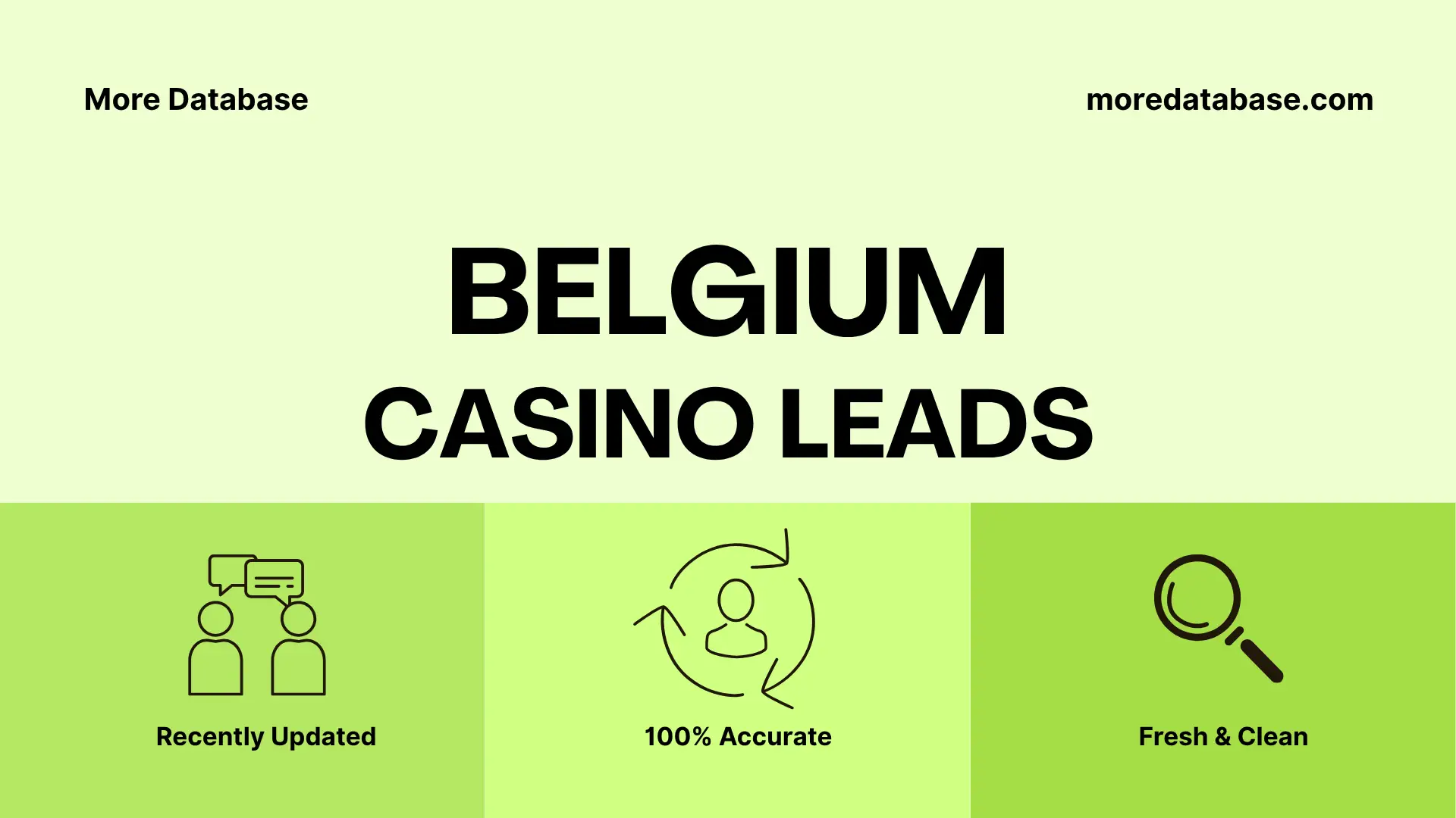 Belgium Casino Leads